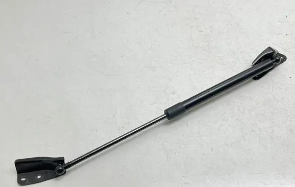Tailgate/trunk strut/damper