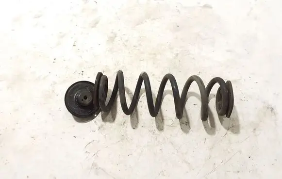 Rear coil spring