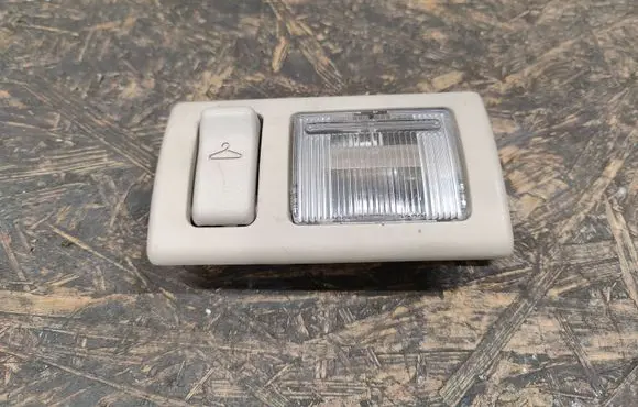 Chrysler Pacifica Rear seat light VJ5909