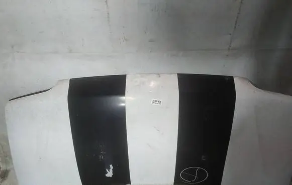 Engine bonnet/hood