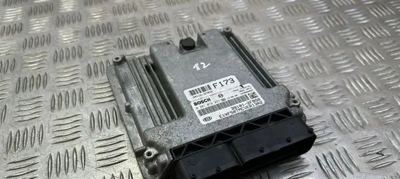 KIA Sorento Engine control unit/module 391162F850 391012P850 0281019257