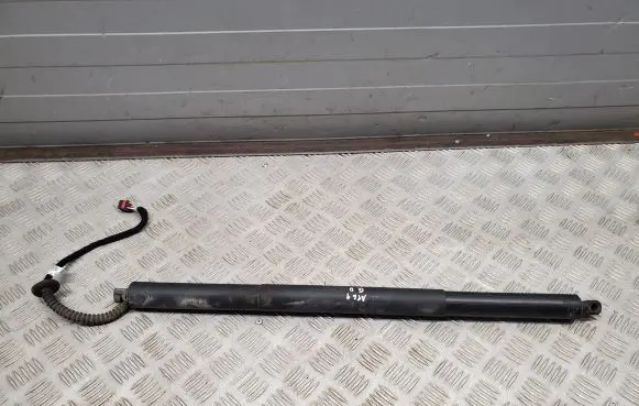 Volkswagen Atlas Tailgate/trunk strut/damper 3CM827851A