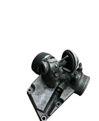 Throttle body valve
