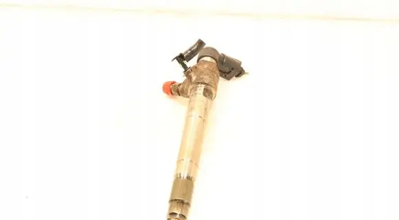 Ford Transit - Tourneo Connect Fuel injector BK2Q-9K546-AG