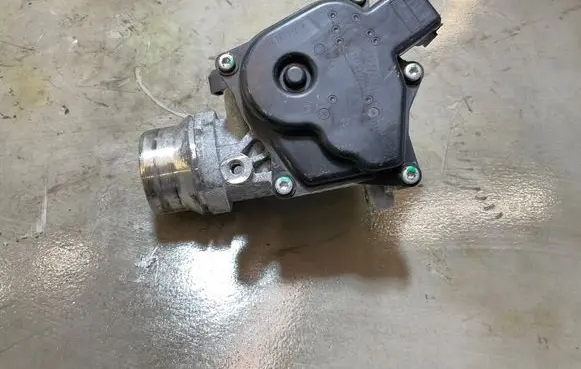Nissan Juke I F15 Throttle body valve 161A09287R