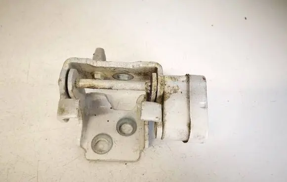 Citroen C5 Rear door lower hinge