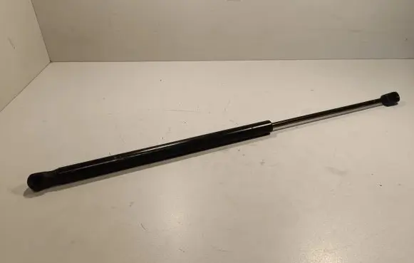 Tailgate strut