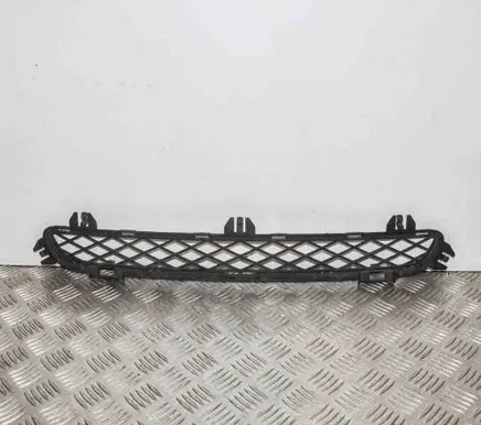 BMW X3 F25 Front grill 7210466