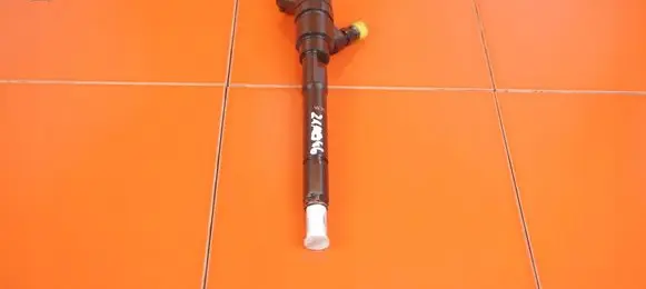 Chevrolet Captiva Fuel injector 0445110270 21MB46