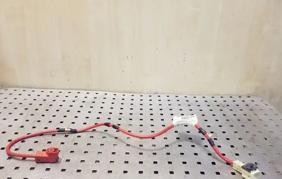 Other wiring loom