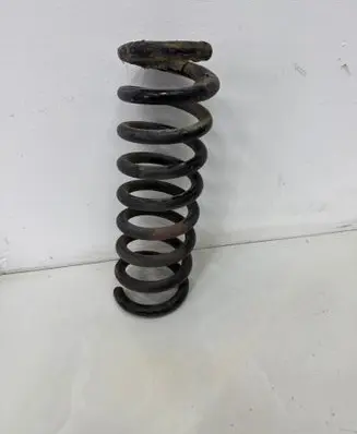 Rear coil spring