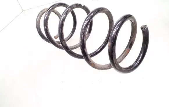 Front coil spring