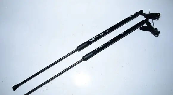 Nissan Juke I F15 Tailgate hydraulic set 