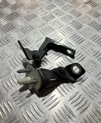 Ford Puma Rear door hinge set DG17514