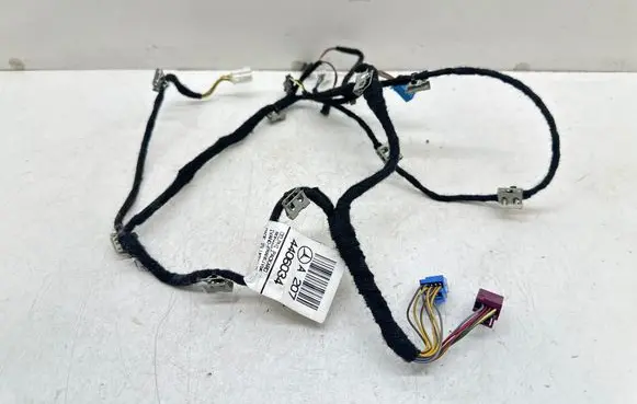 Mercedes-Benz E C207 W207 Front door wiring loom A2074406034