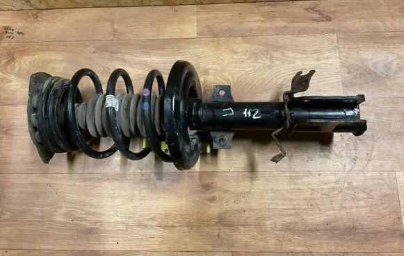 Renault Megane III Front shock absorber with coil spring 543020008R
