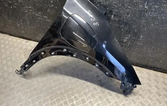 Fender