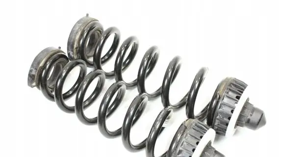 BMW Z4 g29 Rear coil spring