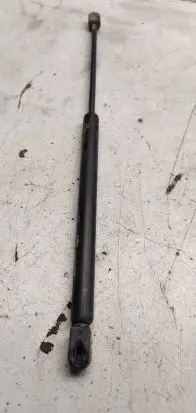 Tailgate strut