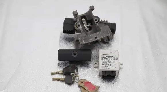 BMW 5 E39 Immobilizer control unit/module 6905668 05393244 110187