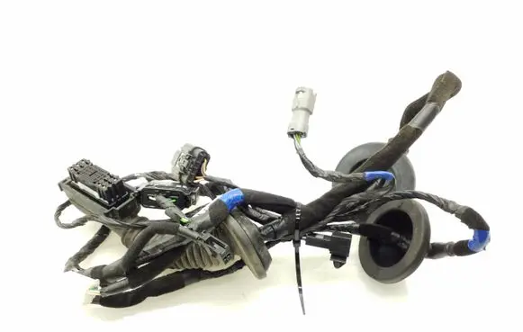 KIA Ceed Front door wiring loom 91610A2010