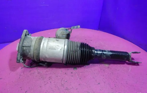 Audi A8 S8 D3 4E Rear shock absorber/damper 4E0616001H
