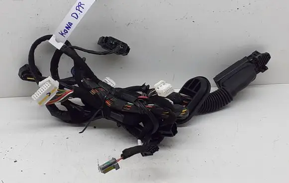 Front door wiring loom