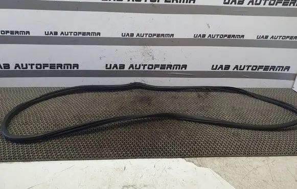 KIA Rio Rubber seal front door (on door) 