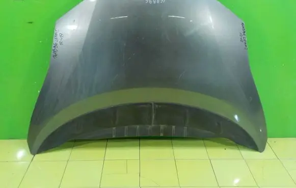 Nissan Leaf I (ZE0) Engine bonnet/hood 16AB96