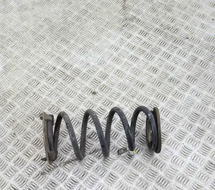 Tesla Model 3 Rear coil spring 104447200H