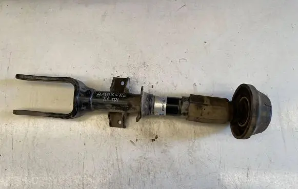 Volkswagen Amarok Front shock absorber/damper 22220554 221722220554B0
