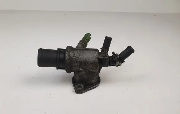 Thermostat/thermostat housing