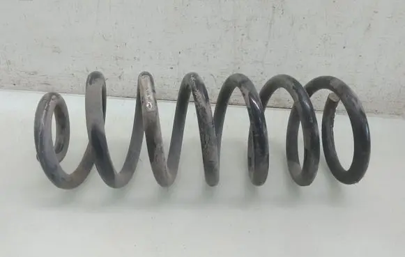 Rear coil spring