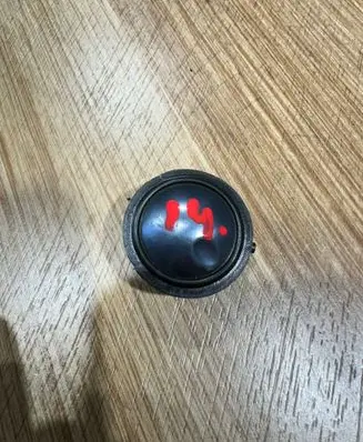 Front door high frequency speaker