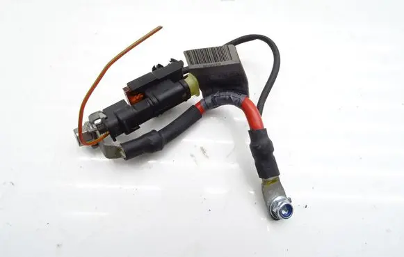 Mercedes-Benz S W221 Front door wiring loom A2215403930