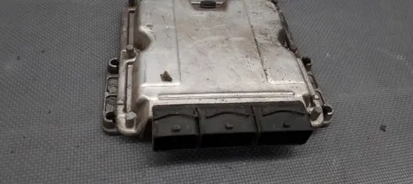 Renault Scenic I Engine control unit/module ECU 0281010819