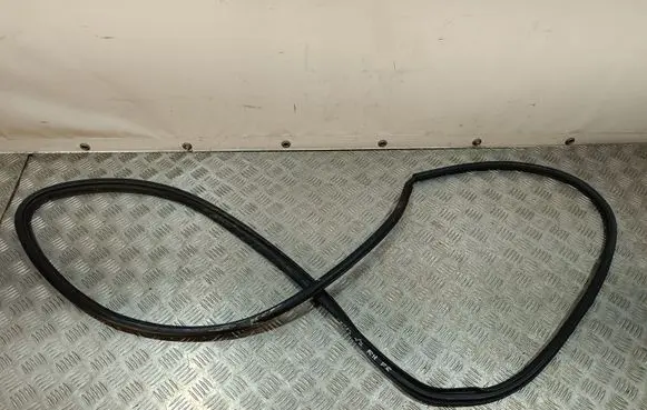 Toyota Prius (XW50) Front door rubber seal