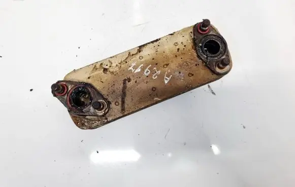 KIA Carnival Engine oil radiator 