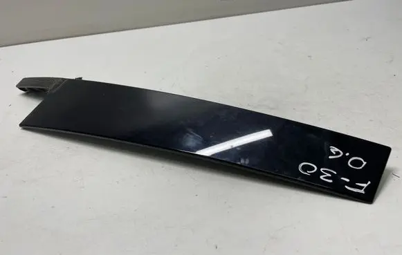 Other rear door trim element