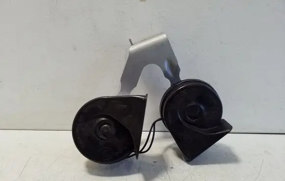 Horn signal