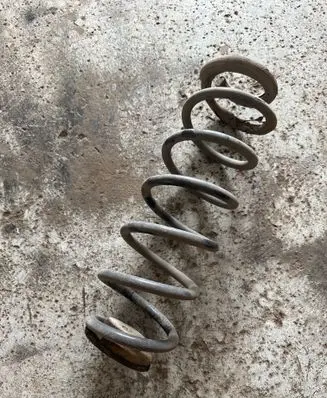 Rear coil spring
