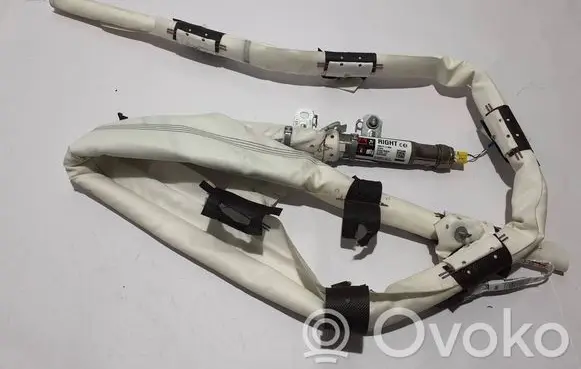 Tesla Model 3 Roof airbag 1077828CE
