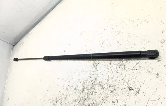 Volkswagen PASSAT CC Front bonnet/hood damper/strut 3C8823359 3439ZB0380N