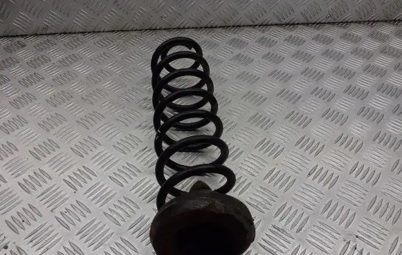 Renault Megane II Rear coil spring