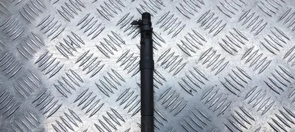 Citroen DS5 Fuel injector 9686191080