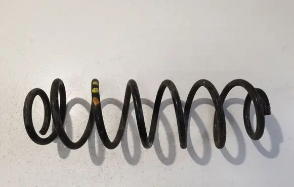 Rear coil spring