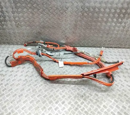 Lexus GS 250 350 300H 450H Other wiring loom 8221230160 8216430180