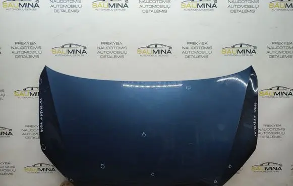 Volkswagen Sharan Engine bonnet/hood