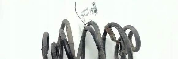 Cadillac DTS Rear coil spring 