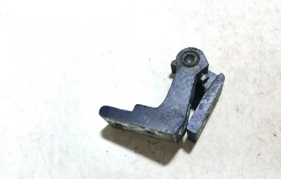 Rear door lower hinge